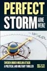 Arne Weinz - Perfect Storm