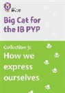 Collins Big Cat - Collection 3: How we express ourselves