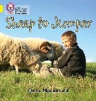 Fiona Macdonald - Sheep to Jumper