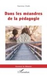 Hammou Chaib - Dans les méandres de la pédagogie