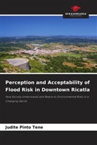 Judite Pinto Tene - Perception and Acceptability of Flood Risk in Downtown Ricatla