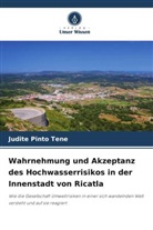 Judite Pinto Tene - Wahrnehmung und Akzeptanz des Hochwasserrisikos in der Innenstadt von Ricatla