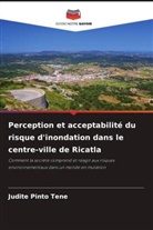 Judite Pinto Tene - Perception et acceptabilité du risque d'inondation dans le centre-ville de Ricatla