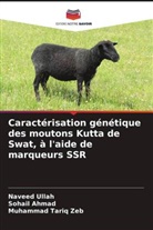 Sohail Ahmad, Muhammad Tariq Zeb, Naveed Ullah - Caractérisation génétique des moutons Kutta de Swat, à l'aide de marqueurs SSR