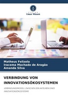 Matheus Felizola, Iracema Machado de Aragão, Silva, Amanda Silva - VERBINDUNG VON INNOVATIONSÖKOSYSTEMEN