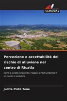 Judite Pinto Tene - Percezione e accettabilità del rischio di alluvione nel centro di Ricatla
