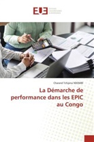 Charand Tchijena NDOMBI - La Démarche de performance dans les EPIC au Congo