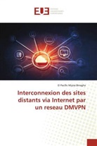 El Pacific Miyisa Binagha - Interconnexion des sites distants via Internet par un reseau DMVPN