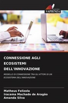 Matheus Felizola, Iracema Machado de Aragão, Amanda Silva - CONNESSIONE AGLI ECOSISTEMI DELL'INNOVAZIONE