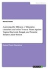 Nohad Fartwt - Assessing the Efficacy of Dracaena cinnabari and other Yemeni Plants Against Vaginal Bacterial, Fungal, and Parasitic Isolates, Aden-Yemen