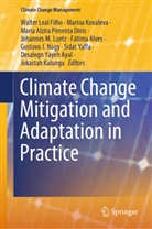 Fátima Alves, Maria Alzira Pimenta Dinis et al, Maria Alzira Pimenta Dinis, Walter Leal Filho, Jokastah Kalungu, Marina Kovaleva... - Climate Change Mitigation and Adaptation in Practice