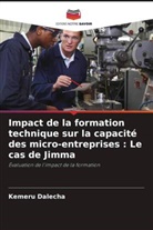 Kemeru Dalecha - Impact de la formation technique sur la capacité des micro-entreprises : Le cas de Jimma