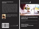 Matheus Felizola, Iracema Machado de Aragão, Amanda Silva - CONEXIÓN DE ECOSISTEMAS DE INNOVACIÓN