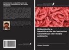 Maher Elsheikh - Aislamiento e identificación de bacterias celulolíticas del medio ambiente