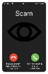 Mark Bo, Ivan Franceschini, Ivan Li Franceschini, Li Ling - Scam