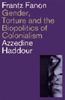 Azzedine Haddour, Haddour Azzedine - Frantz Fanon