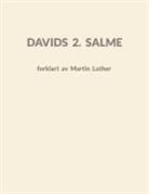 Søren Grønborg Hansen - Davids 2. Salme