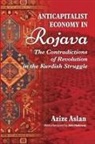 Azize Aslan - Anti-Capitalist Economy in Rojava