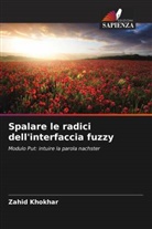 Zahid Khokhar - Spalare le radici dell'interfaccia fuzzy