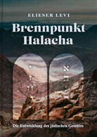 Elieser Levi - Brennpunkt: Halacha - die Entwicklung des jüdischen Gesetzes von Elieser Levi