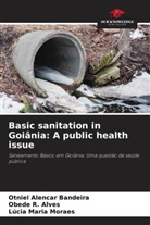 Otniel Alencar Bandeira, Lúcia Maria Moraes, Obede R. Alves - Basic sanitation in Goiânia: A public health issue