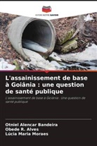Otniel Alencar Bandeira, Lúcia Maria Moraes, Obede R. Alves - L'assainissement de base à Goiânia : une question de santé publique