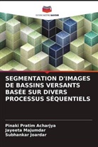 Pinaki Pratim Acharjya, Subhankar Joardar, Jayeeta Majumdar - SEGMENTATION D'IMAGES DE BASSINS VERSANTS BASÉE SUR DIVERS PROCESSUS SÉQUENTIELS