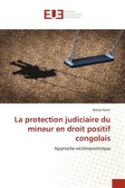 Bwiza Kevin - La protection judiciaire du mineur en droit positif congolais