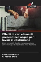 G. Reddy Babu, Subhashish Dey - Effetti di vari elementi presenti nell'acqua per i lavori di costruzione