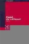 Manuel Castells - Canvi de mil·leni