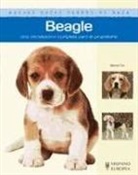 Marcia A. Foy - Beagle : nuevas guías de perros de raza