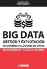 Montserrat García Alsina - Big data : gestión y explotación de grandes volúmenes de datos