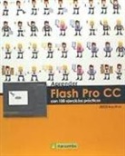Mediaactive - Aprender Flash Pro CC : con 100 ejercicios prácticos