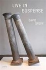 David Groff - Live in Suspense