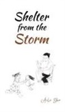 Aili Gao - Shelter from the Storm