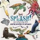 Donovan Bixley - Splash!