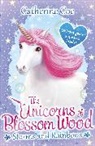 Catherine Coe, Coe Catherine - The Unicorns of Blossom Wood: Storms and Rainbows
