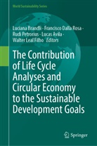 Lucas Avila, Luciana Brandli, Francisco Dalla Rosa, Walter Leal Filho, Rudi Petrorius, Rudi Petrorius et al... - The Contribution of Life Cycle Analyses and Circular Economy to the Sustainable Development Goals