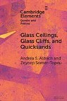 Andrea S. Aldrich, Andrea S. (Yale University) Somer-Topcu Aldrich, Zeynep Somer-Topcu - Glass Ceilings, Glass Cliffs, and Quicksands