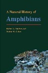 Nathan W. Cohen, Cohen Nathan W., Robert C. Stebbins, Stebbins Robert C. - A Natural History of Amphibians