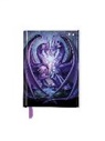 Anne Stokes: Raising Dragons 2026 Luxury Pocket Diary Planner - Week to View