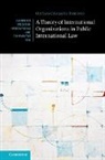 Orfeas Chasapis Tassinis - A Theory of International Organizations in Public International Law