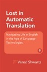Vered Shwartz - Lost in Automatic Translation
