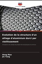 Hong Mao, Jie Tang - Evolution de la structure d'un alliage d'aluminium durci par vieillissement