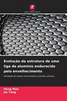 Hong Mao, Jie Tang - Evolução da estrutura de uma liga de alumínio endurecida pelo envelhecimento