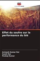 Pankaj Kumar, Avinash Kumar Rai, Sumit Rai - Effet du soufre sur la performance du blé