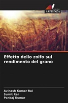 Pankaj Kumar, Avinash Kumar Rai, Sumit Rai - Effetto dello zolfo sul rendimento del grano