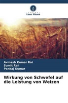 Pankaj Kumar, Avinash Kumar Rai, Sumit Rai - Wirkung von Schwefel auf die Leistung von Weizen