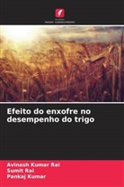 Pankaj Kumar, Avinash Kumar Rai, Sumit Rai - Efeito do enxofre no desempenho do trigo