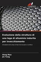 Hong Mao, Jie Tang - Evoluzione della struttura di una lega di alluminio indurita per invecchiamento